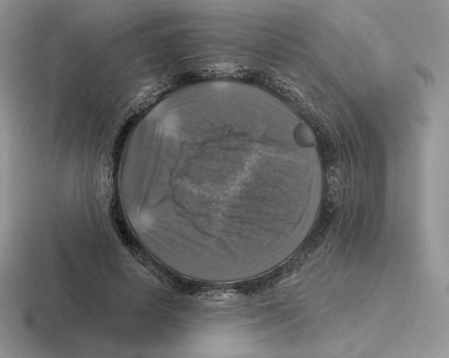 X0000116450642201001051225