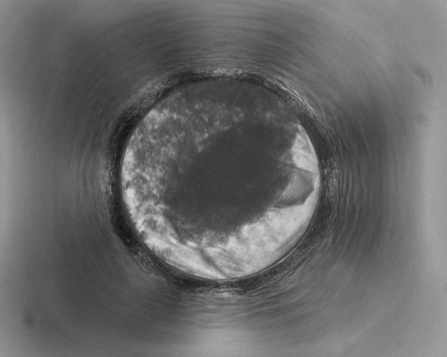 X0000116450643201001051225