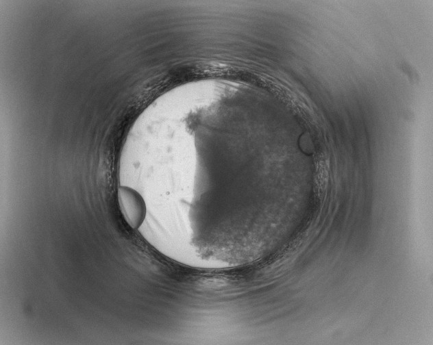 X0000116450653201001051225