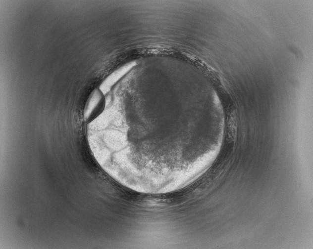 X0000116450657201001051225
