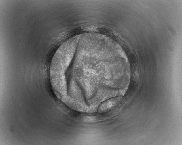 X0000116450658201001051225