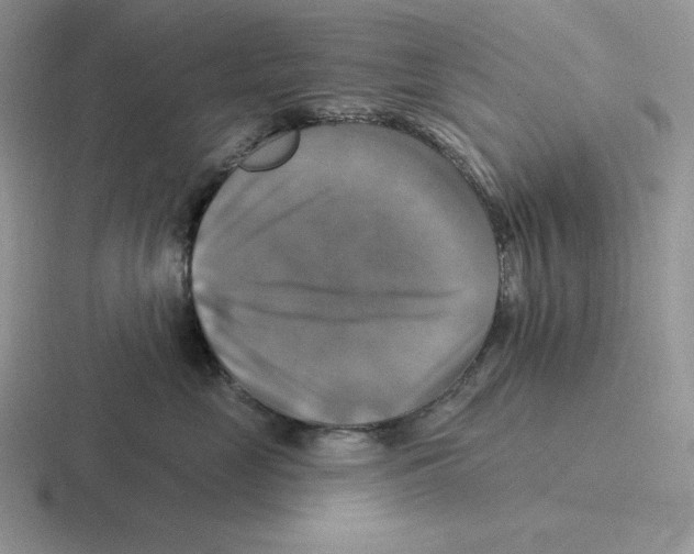 X0000116450669201001051225