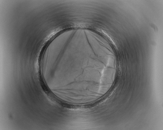 X0000116450674201001051225