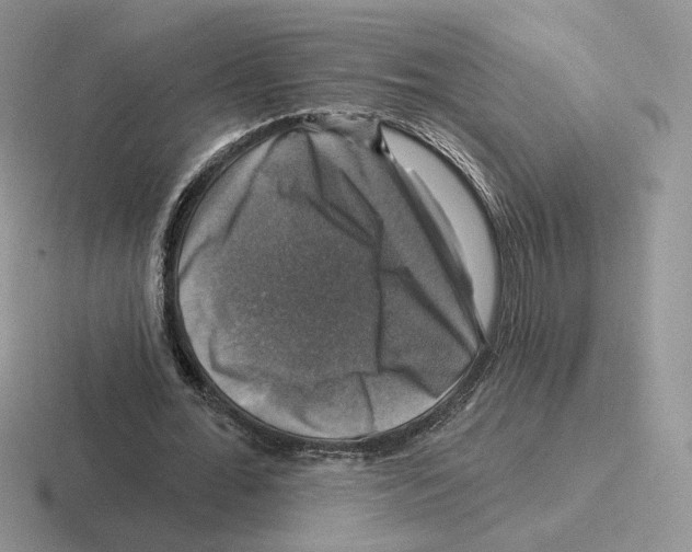 X0000116450676201001051225