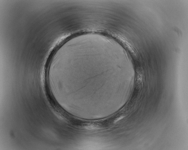 X0000116450678201001051225