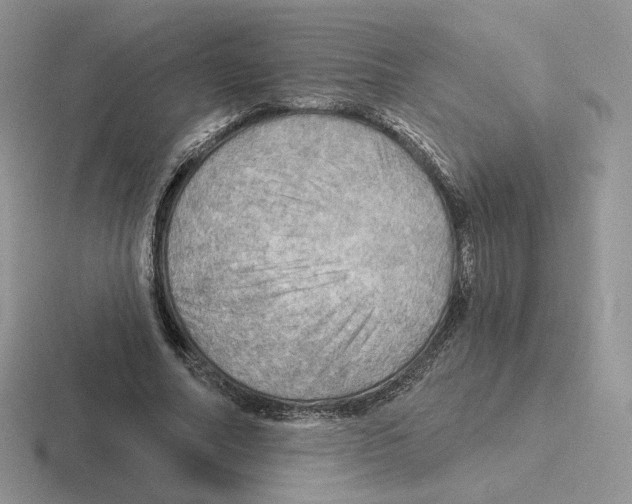 X0000116450682201001051225