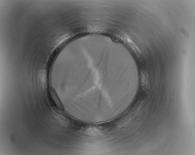 X0000116450684201001051225
