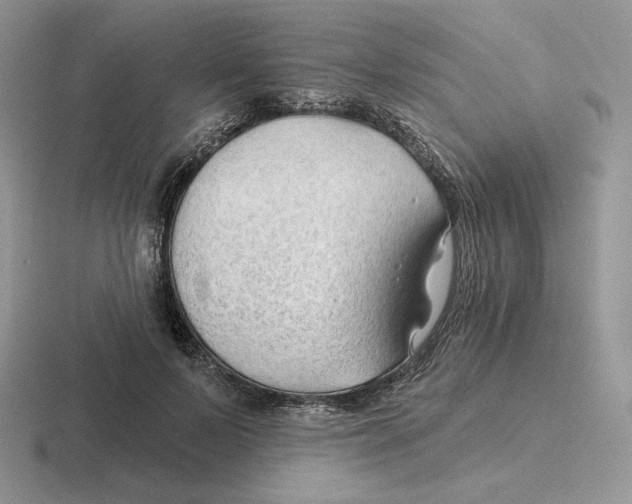 X0000116450695201001051224