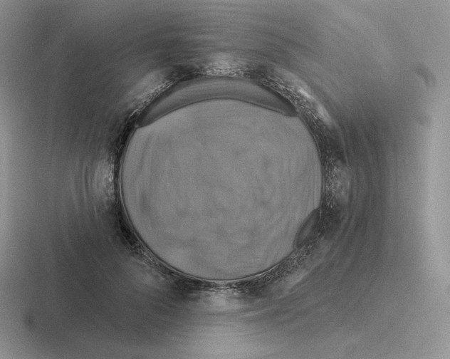 X0000116450696201001051224