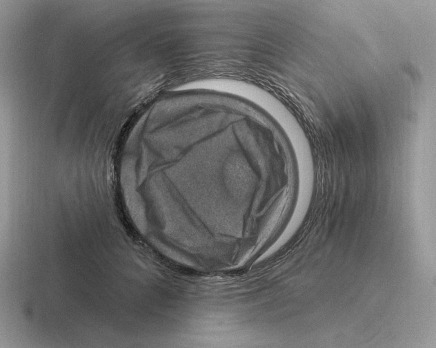 X0000116450704201001051224