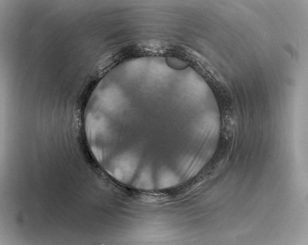 X0000116450707201001051224