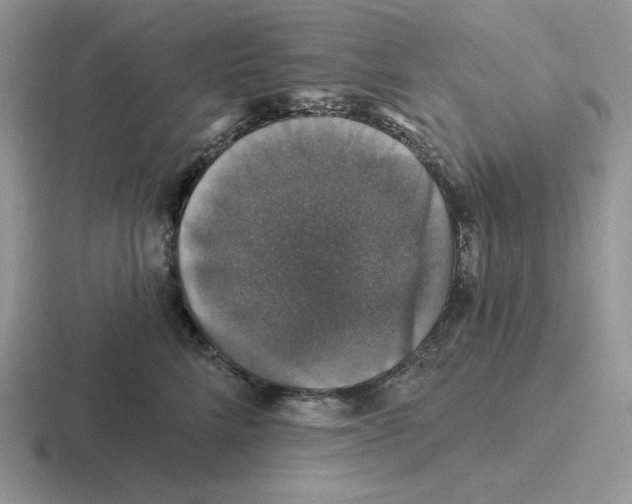X0000116450712201001051224