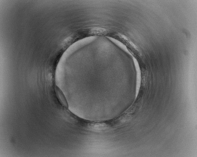 X0000116450716201001051224