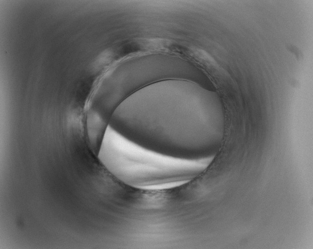 X0000116450720201001051224