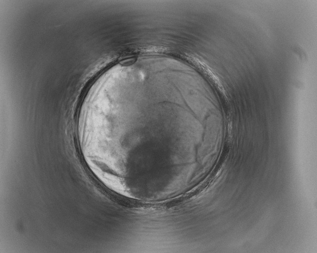 X0000116450721201001051223