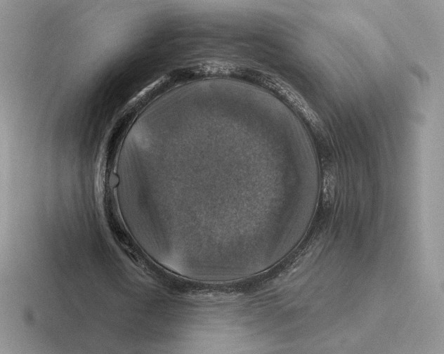 X0000116450722201001051223