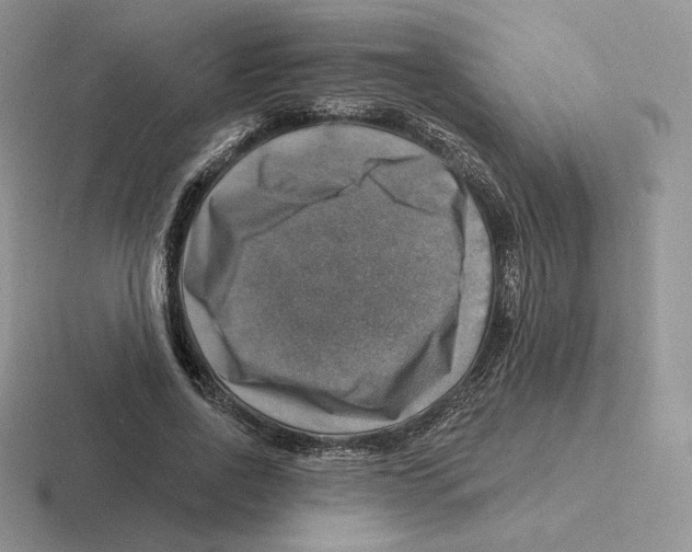 X0000116450734201001051224