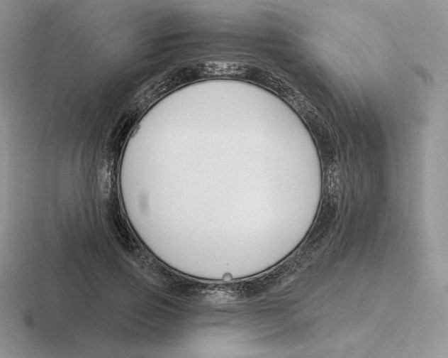 X0000116450741201001051224