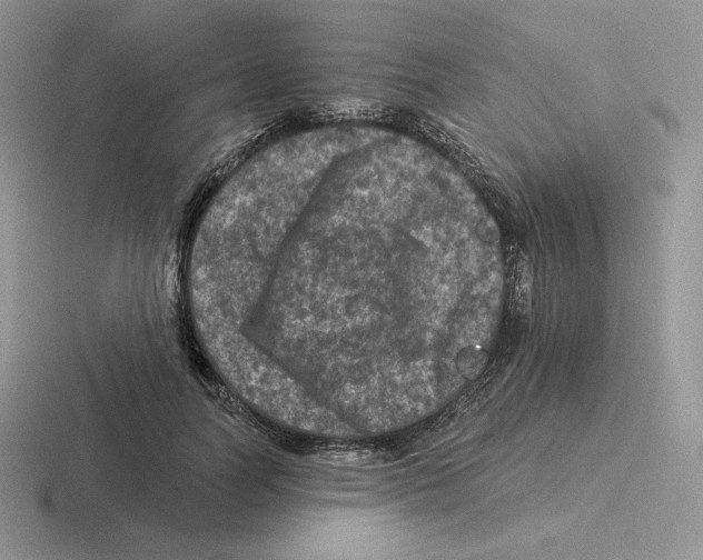 X0000116450746201001051224