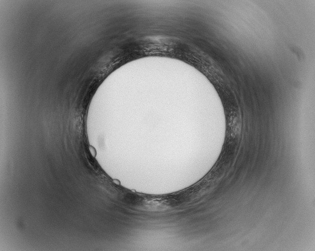 X0000116450753201001051224