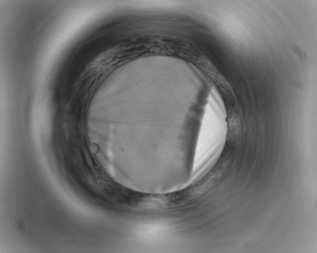 X0000116450765201001051224