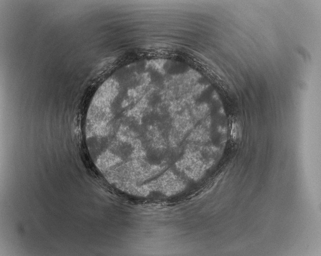 X0000116450771201001051223