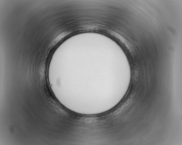 X0000116450778201001051223
