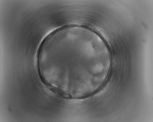 X0000116450779201001051223