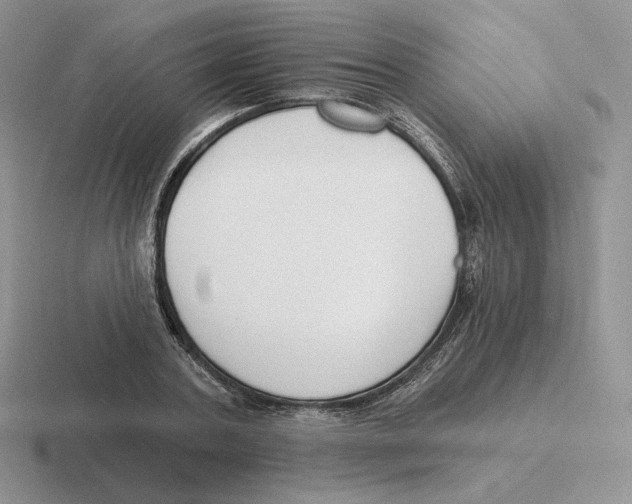 X0000116450787201001051223