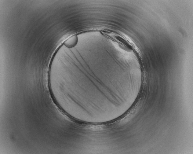 X0000116450802201001051223