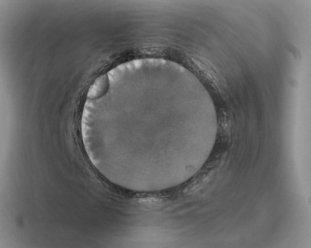 X0000116450817201001051222