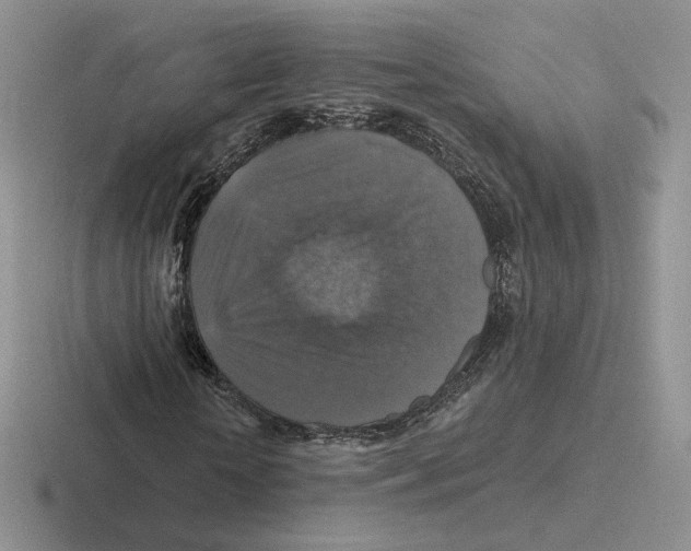 X0000116450818201001051222