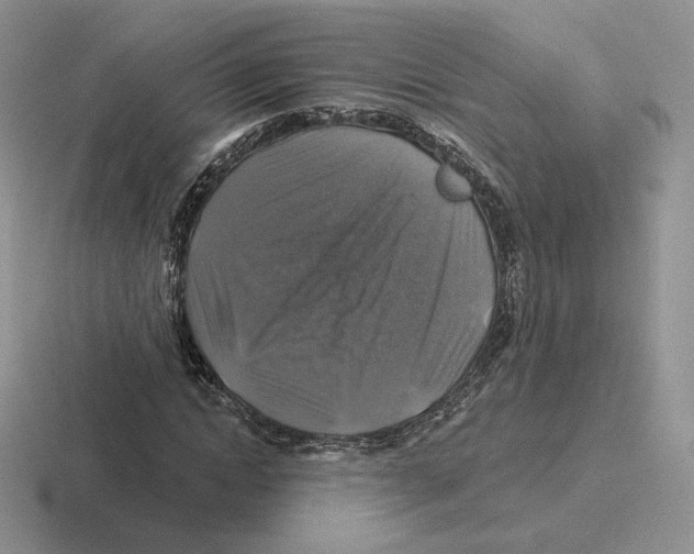 X0000116450822201001051222