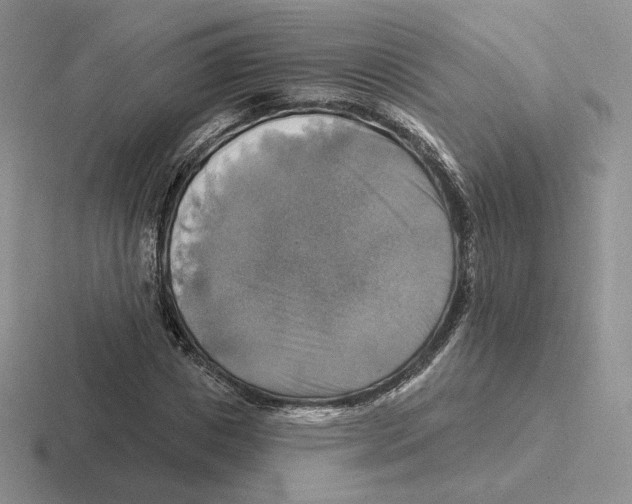 X0000116450825201001051222