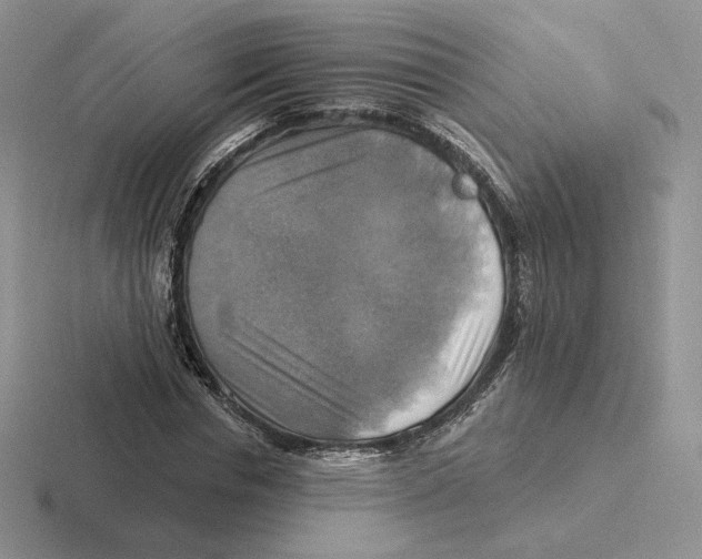 X0000116450826201001051222