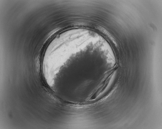 X0000116450829201001051222