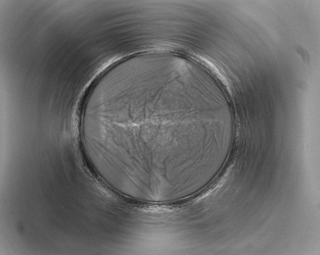 X0000116450835201001051222