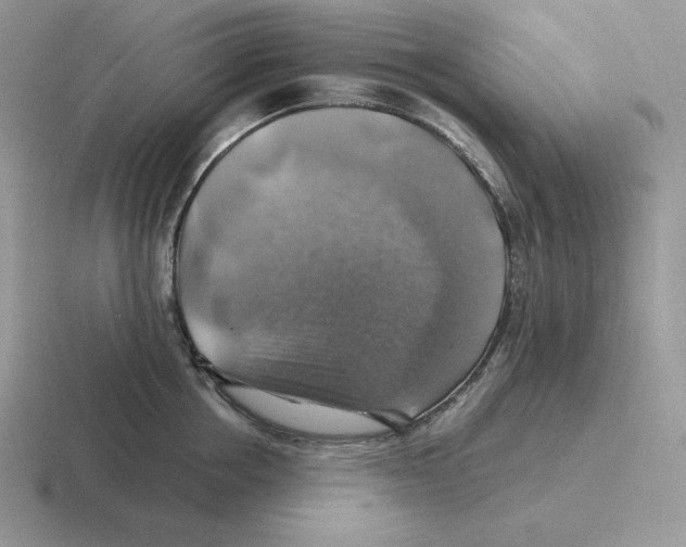 X0000116450858201001051223