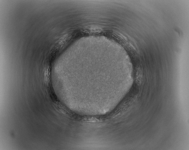 X0000116450866201001051222