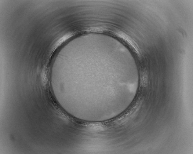 X0000116450874201001051222