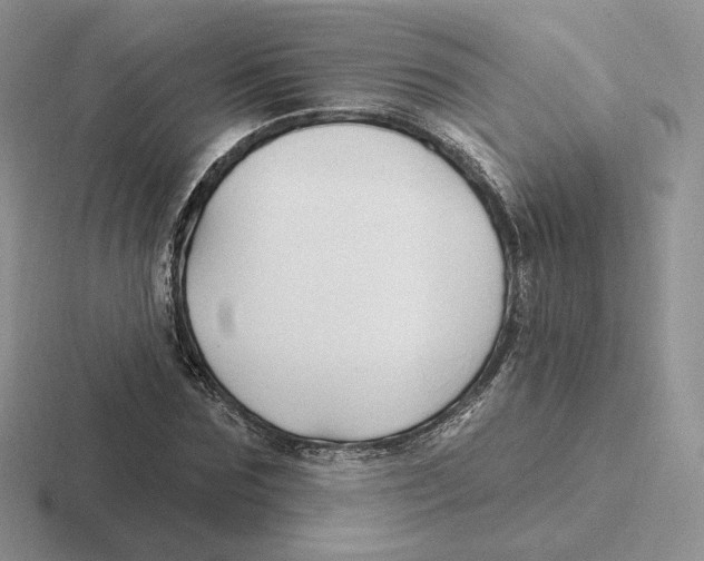 X0000116450875201001051222
