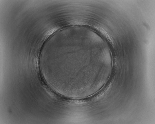 X0000116450881201001051222