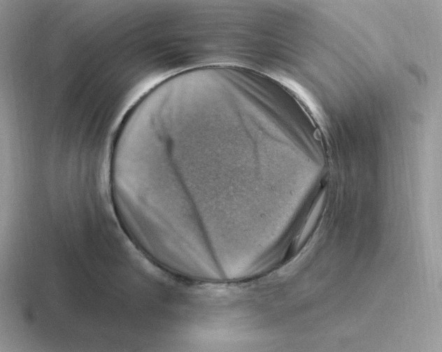X0000116450910201001051222