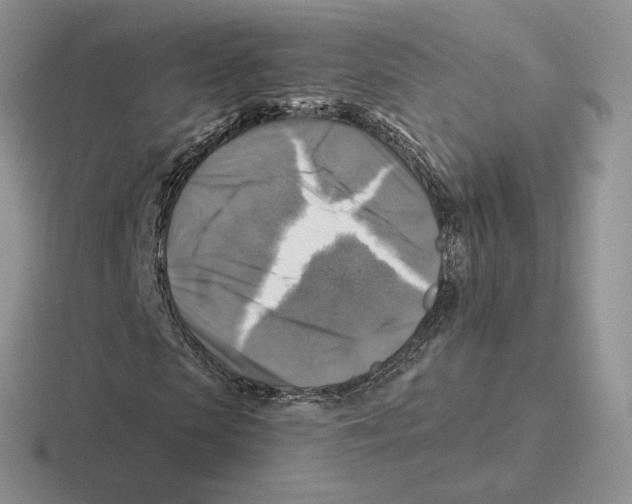 X0000116450913201001051221
