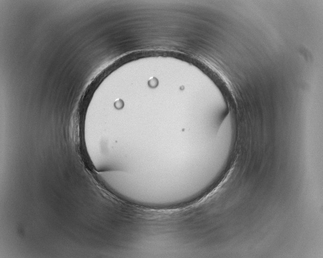 X0000116450925201001051221