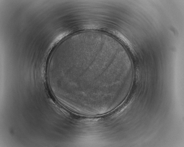 X0000116450930201001051221
