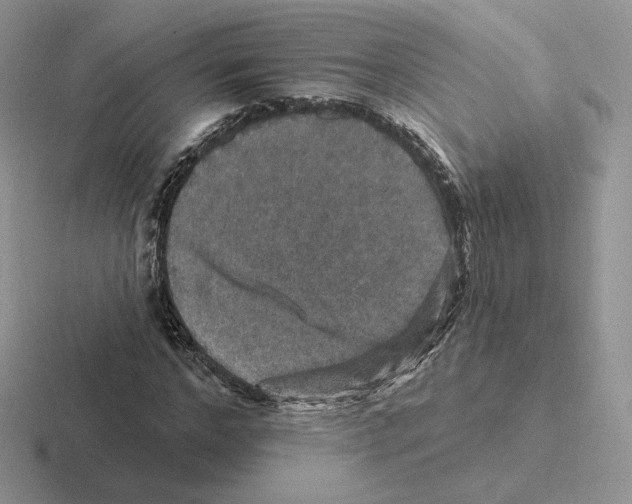 X0000116450968201001051221