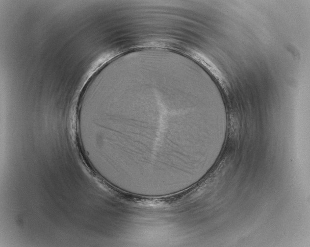 X0000116450994201001051221