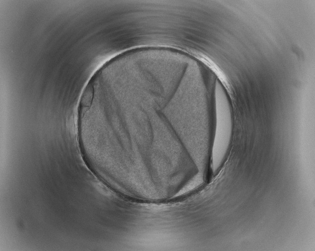 X0000116450996201001051221