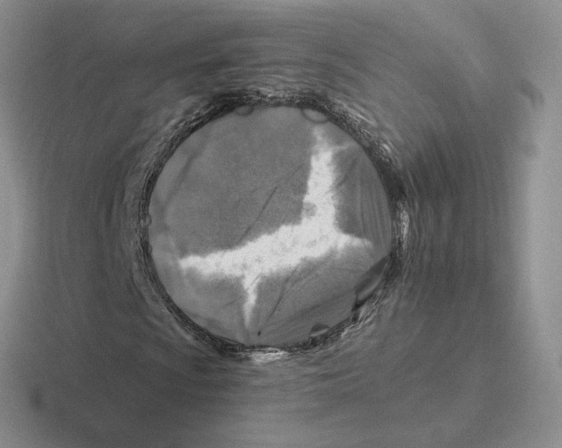 X0000116451009201001051220